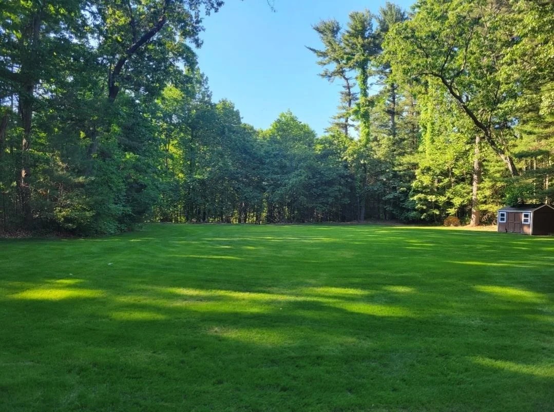 Lawn after fertigation — lush green grass