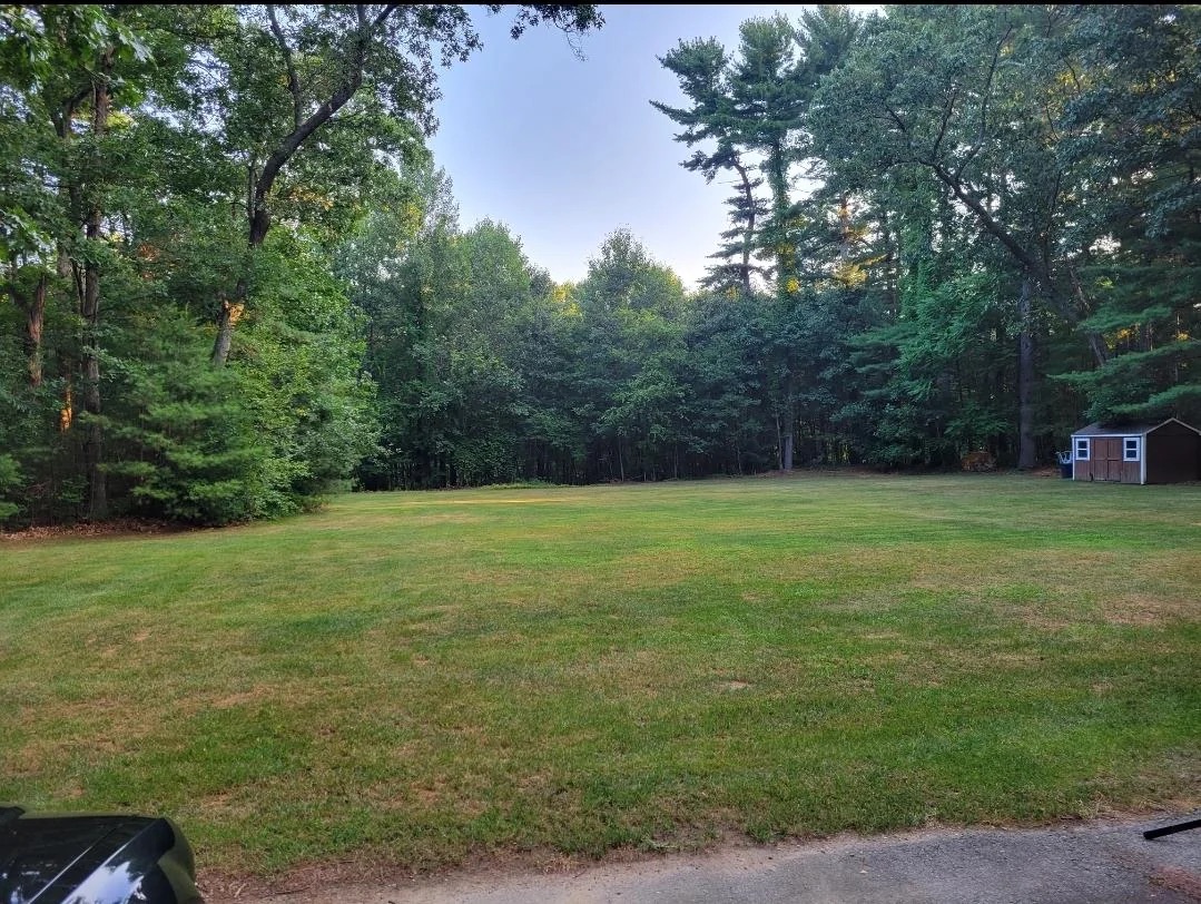 Lawn before fertigation — patchy, pale grass